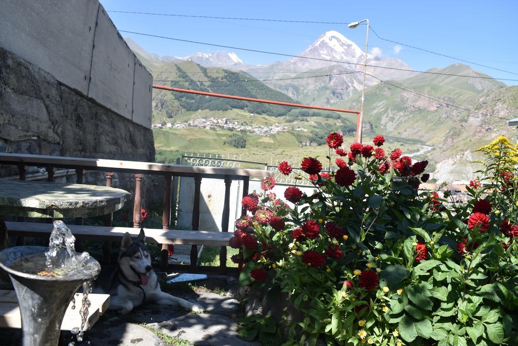 كازباجي Qusha Guesthouse Meeting In The Mountains And Views المظهر الخارجي الصورة
