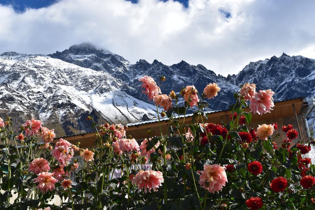 كازباجي Qusha Guesthouse Meeting In The Mountains And Views المظهر الخارجي الصورة